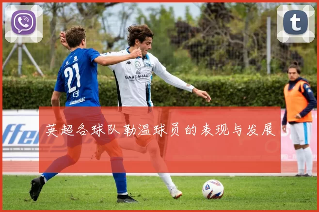 英超各球队勒温球员的表现与发展