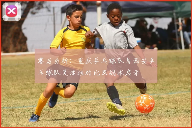 赛后分析：重庆乒乓球队与西安乒乓球队灵活性对比及战术启示