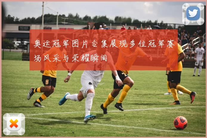 奥运冠军图片合集展现多位冠军赛场风采与荣耀瞬间