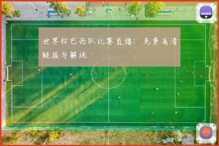 世界杯巴西队比赛直播：免费高清链接与解说