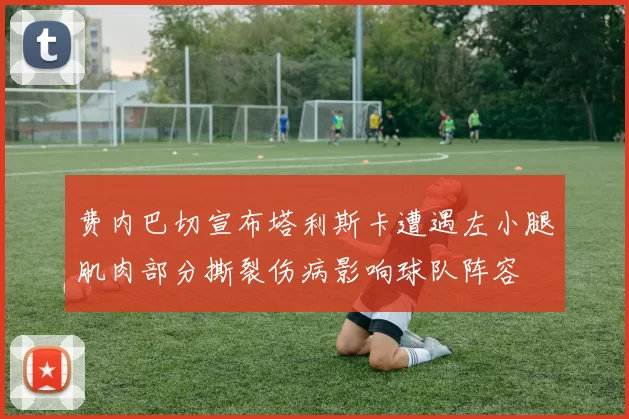 费内巴切宣布塔利斯卡遭遇左小腿肌肉部分撕裂伤病影响球队阵容