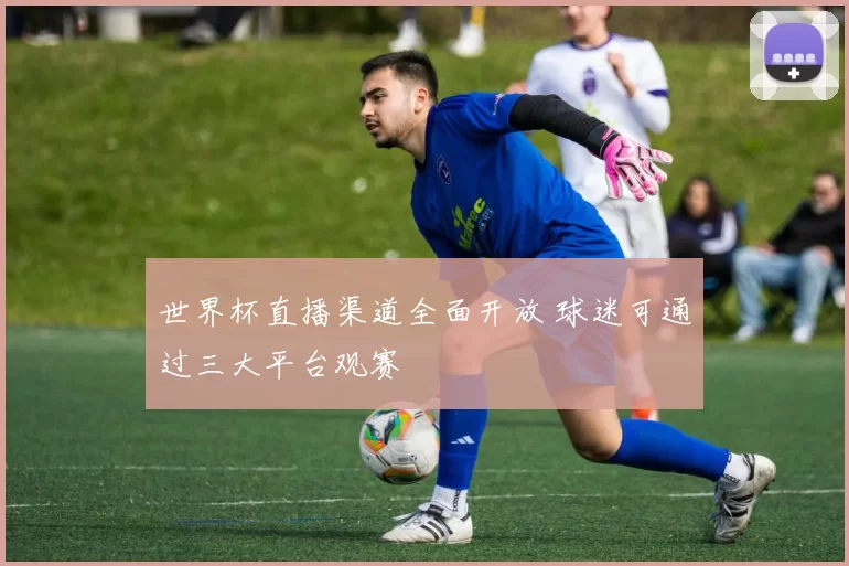 世界杯直播渠道全面开放 球迷可通过三大平台观赛