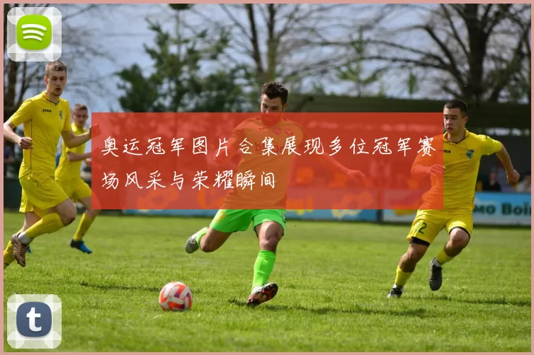 奥运冠军图片合集展现多位冠军赛场风采与荣耀瞬间