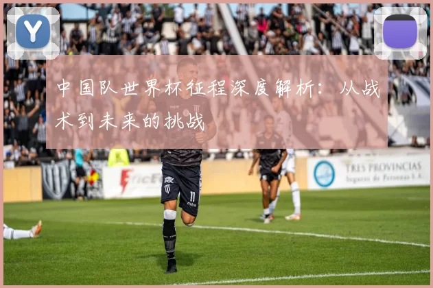 中国队世界杯征程深度解析：从战术到未来的挑战