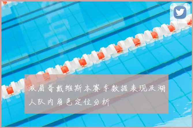 浓眉哥戴维斯本赛季数据表现及湖人队内角色定位分析