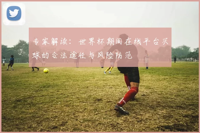 专家解读:世界杯期间在线平台买球的合法途径与风险防范