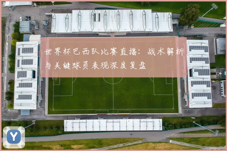 世界杯巴西队比赛直播：战术解析与关键球员表现深度复盘