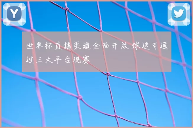 世界杯直播渠道全面开放 球迷可通过三大平台观赛