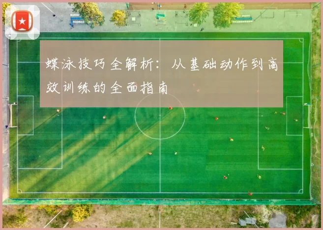 蝶泳技巧全解析：从基础动作到高效训练的全面指南