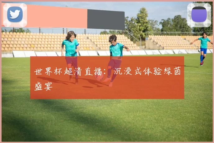 世界杯超清直播：沉浸式体验绿茵盛宴