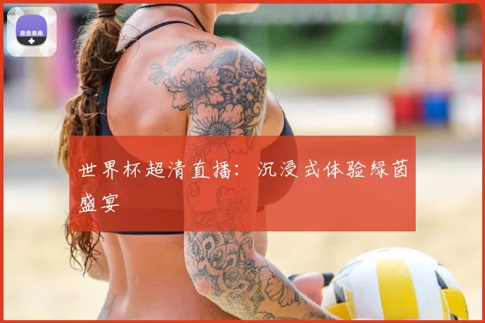 世界杯超清直播:沉浸式体验绿茵盛宴