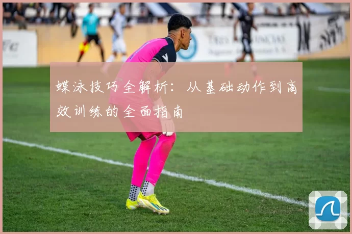 蝶泳技巧全解析：从基础动作到高效训练的全面指南